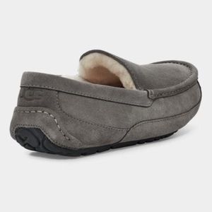 UGG Ascot Slipper Grey Suede
